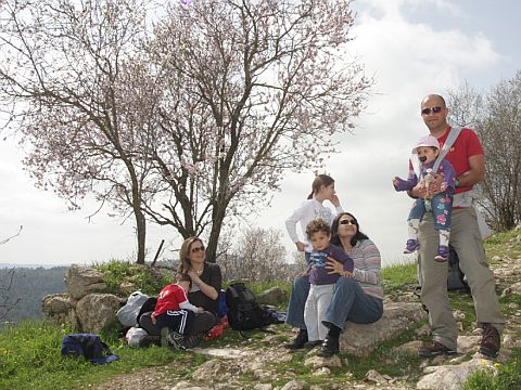 מטיילים בין השקדיות [צילום: יעל כרם]