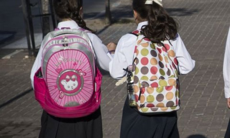 בצורה דומה באותה סביבה [צילום אילוסטרציה: נתי שוחט, פלאש 90]