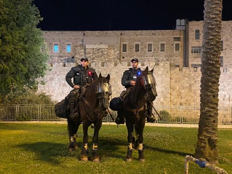 [צילום: דוברות המשטרה]