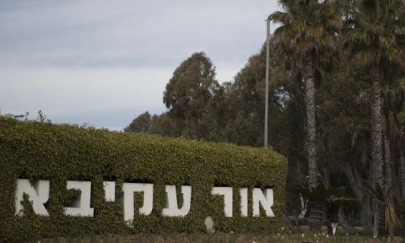 אור עקיבא. צביון מסורתי [צילום: נתי שוחט/פלאש 90]