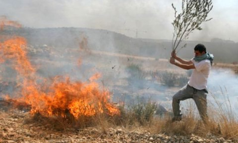 [צילום: פלאש 90]