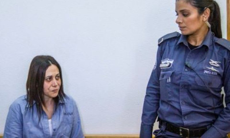 אלון. "מלאה הסאה" [צילום: עידו ארז/פלאש 90]