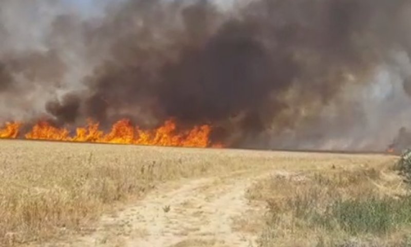 הדליקה סמוך ליער בארי [צילום: צ׳רלי מור יוסף, קק״ל]