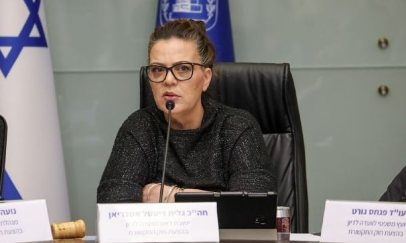 דיסטל. הוועדה בוחנת קיצור מתווה ההשקעה [צילום: דני שם-טוב/דוברות הכנסת]