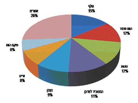 התפלגות סניפי הרשתות המובילות