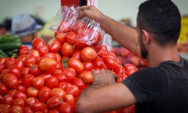 "העגבניות ניזוקו" [צילום אילוסטרציה: פלאש 90]