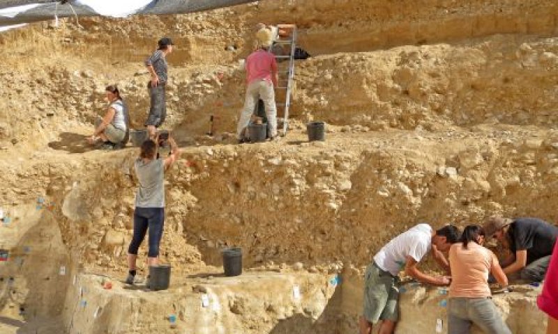 החפירות באתר בוקר תחתית [צילום: אליזבטה בוארטו, מכון ויצמן למדע]