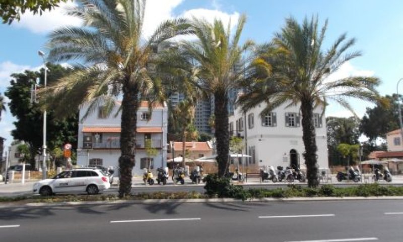מקיף את מתחם שרונה [צילום: איתמר לוין]
