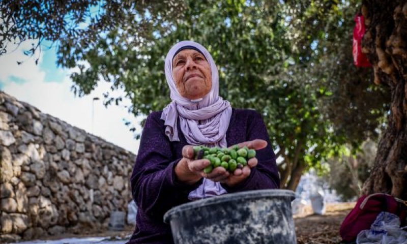 עונה דלה [צילום: ג'מאל עוואד/פלאש 90]
