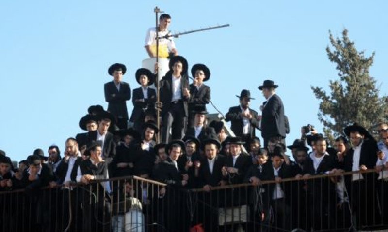 צופים מלמעלה [צילום: פלאש 90]