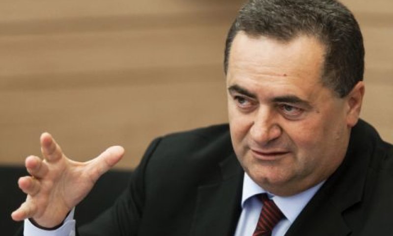 כ"ץ. מעוניין ברגולציה [צילום: פלאש 90]