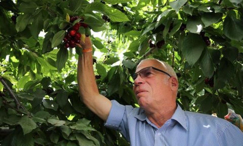 אורי אריאל [צילום: גרשון אליסון/פלאש 90]