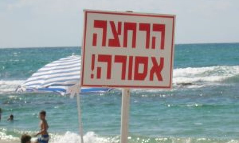 [צילום: עומר שיקלר]