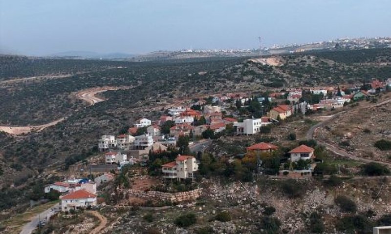 עץ אפרים. סכסוך ארוך [צילום: מיכאלי]