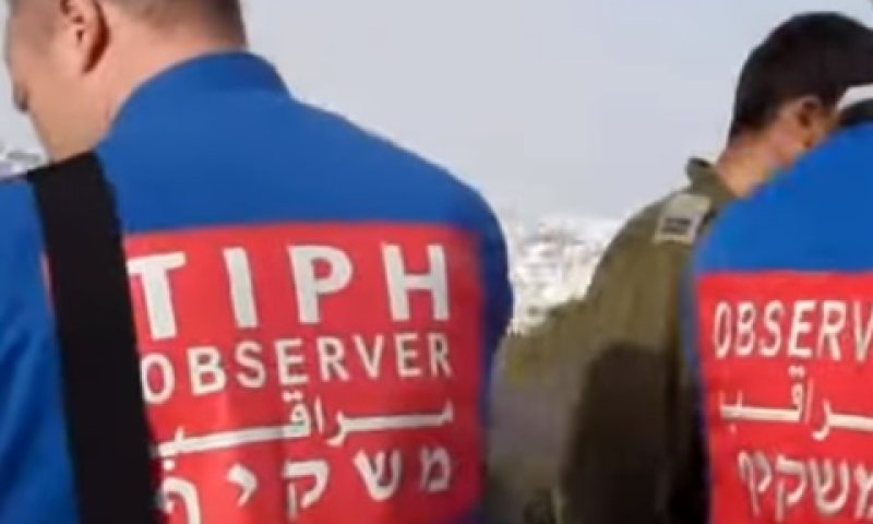 משקיפי Tiph יסולקו