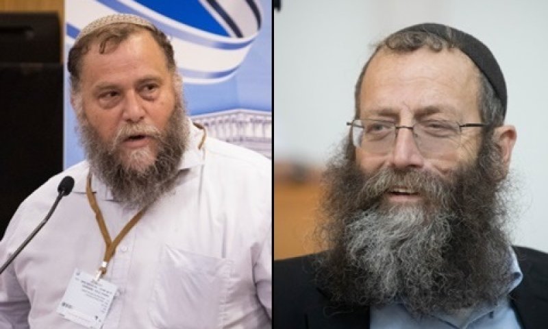 מרזל וגופשטיין. נפסלו [צילום: יונתן זינדל והדס פרוש, פלאש 90]