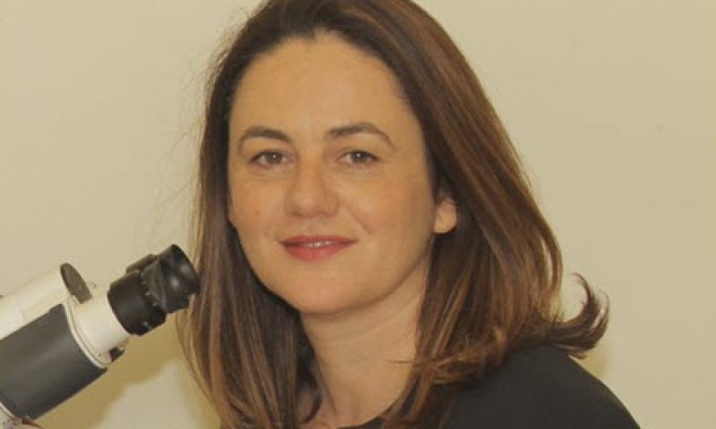 אסיה רולס [צילום: שחם דורון]