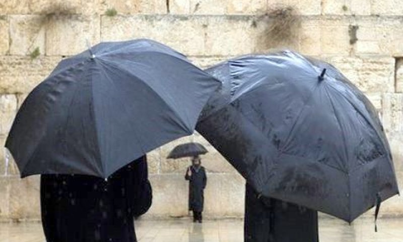 הכותל המערבי [צילום: AP]