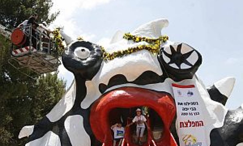 [צילום: פלאש 90]