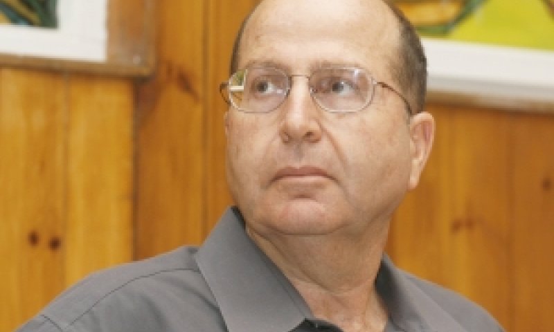 [צילום: פלאש 90]