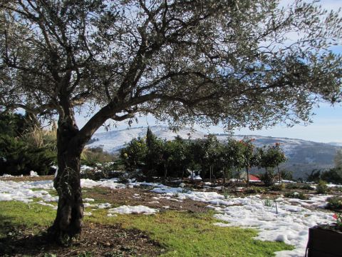 מושב נווה אטי"ב השומם אך מרהיב [צילום: שמרית טסה]