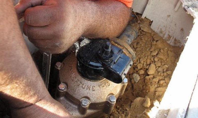 פעלו בצורה ממושכת [צילום: AP]