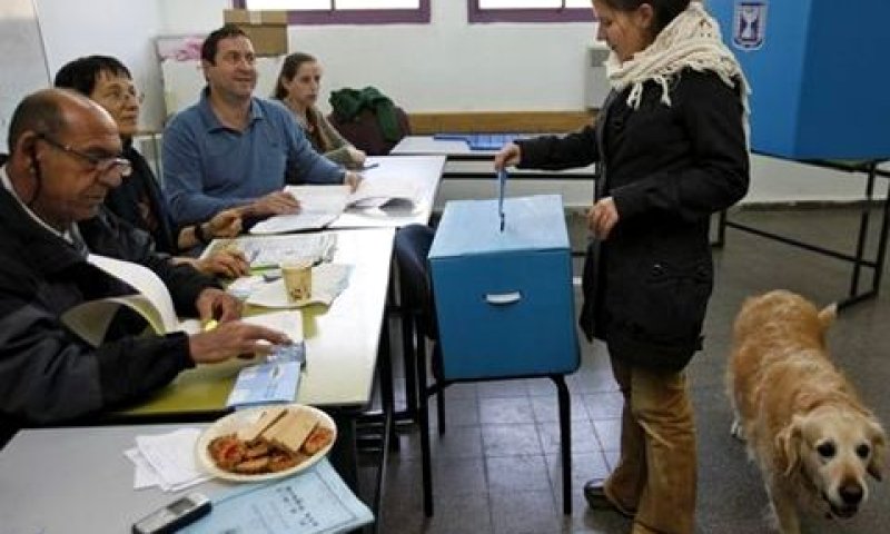 קלפי בתקוע [צילום: AP]