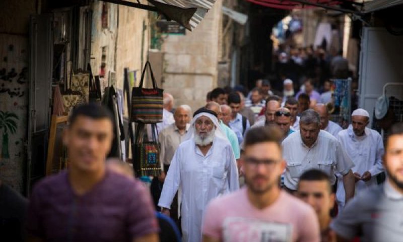 58 שנה אחרי ההפקעה [צילום: הדס פרוש/פלאש 90]