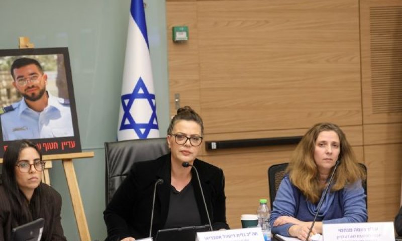 דיסטל. "פריצת דרך" בדרך לחקיקה מואצת [צילום: דני שם-טוב/דוברות הכנסת]