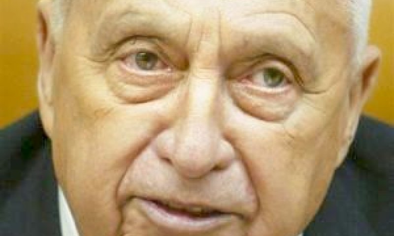 שרון. בהתאוששות