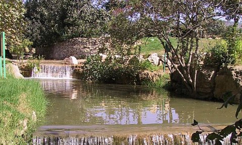עין חמד [צילום: יח"צ]