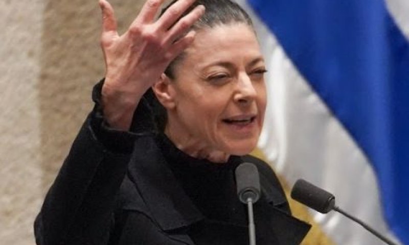 מיכאלי. אפליה על בסיס ביולוגיה [צילום: דני שם-טוב/דוברות הכנסת]