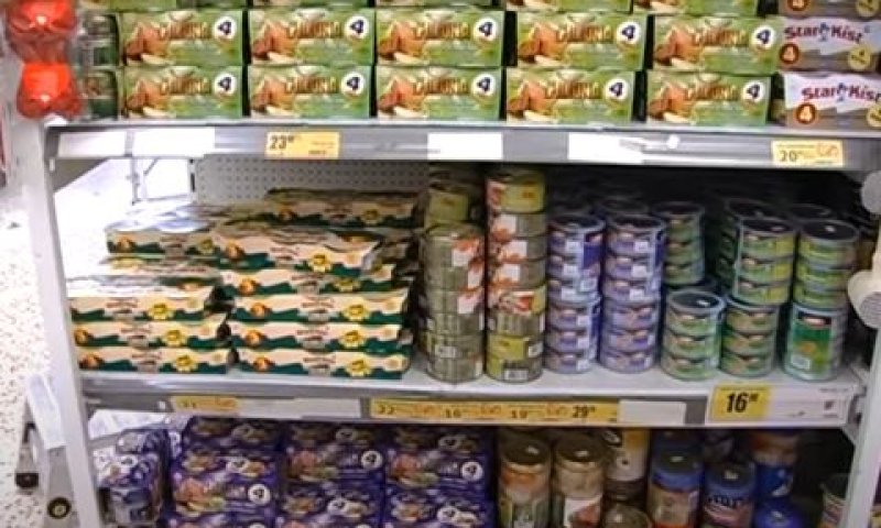 שימורי טונה [צילום: מן הטלוויזיה]