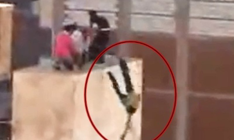 האלימות משתוללת, 30 הרוגים ביממה [צילום: מתוך יו-טיוב]