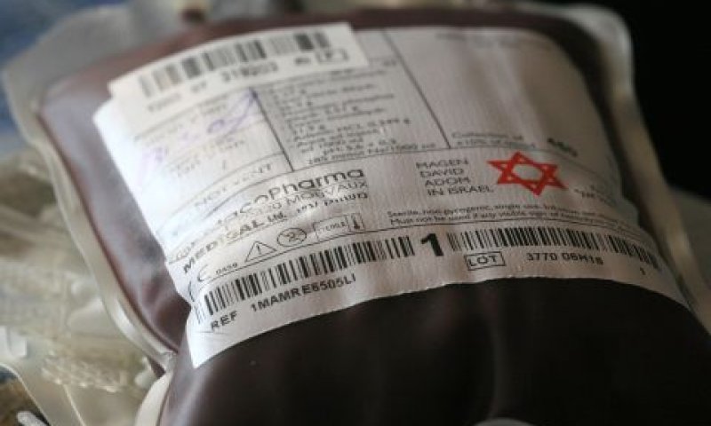 מתכננת לתבוע 12.9 מיליון שקל [צילום: רבקה צפרת, פלאש 90]