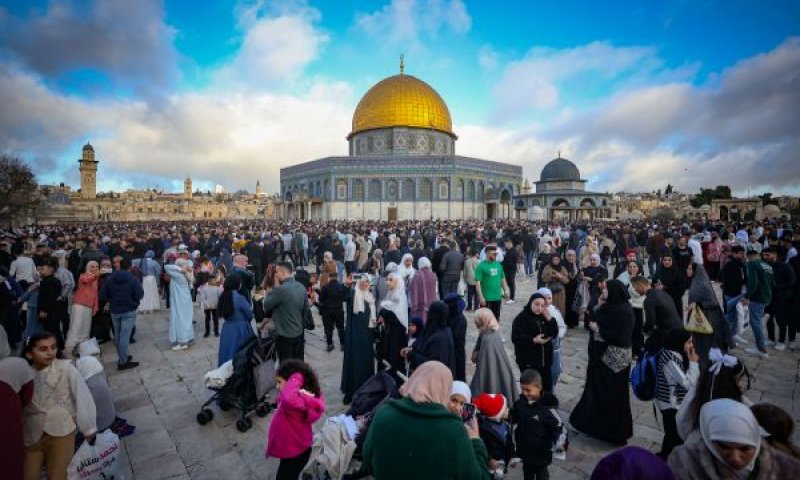 מהווים 20.5% מכוח העבודה [צילום: ג'מאל עוואד, פלאש 90]