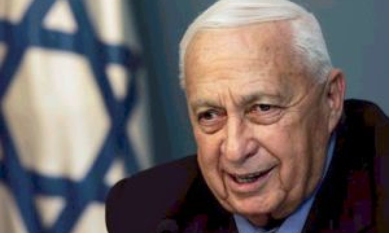 [צילום: AP]