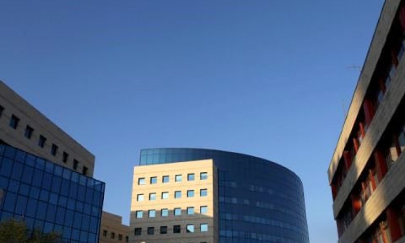 5 דונם ב-27.5 מיליון שקל [צילום: פלאש 90]