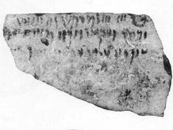 אוסטרקון שנמצא בבאר שבע [צילום: אתר שכם]