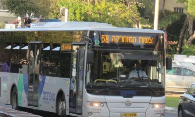 [צילום: שמואל וולף]