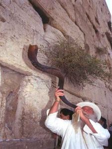 תקיעת שופר ביום חול [אילוסטרציה: לע"מ]