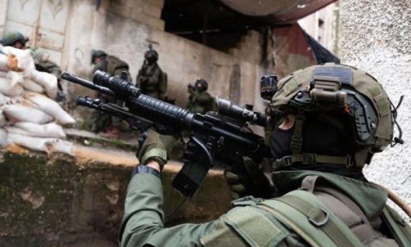 מחבלים בין כוונות [צילום: דובר צה''ל]