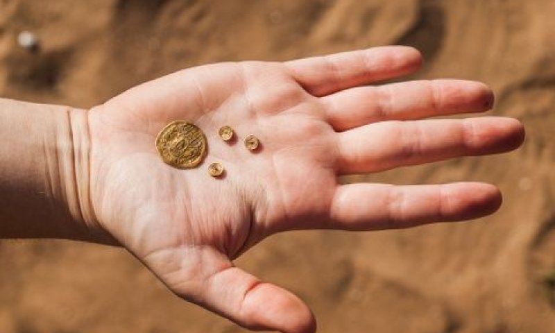 טבעות מברונזה שנחשפו בחפירה [צילום: אסף פרץ, באדיבות רשות העתיקות]