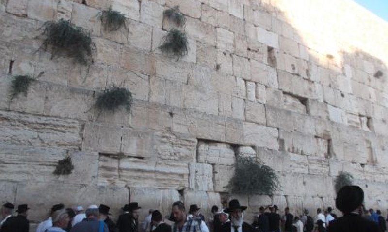 [צילום: איתמר לוין]