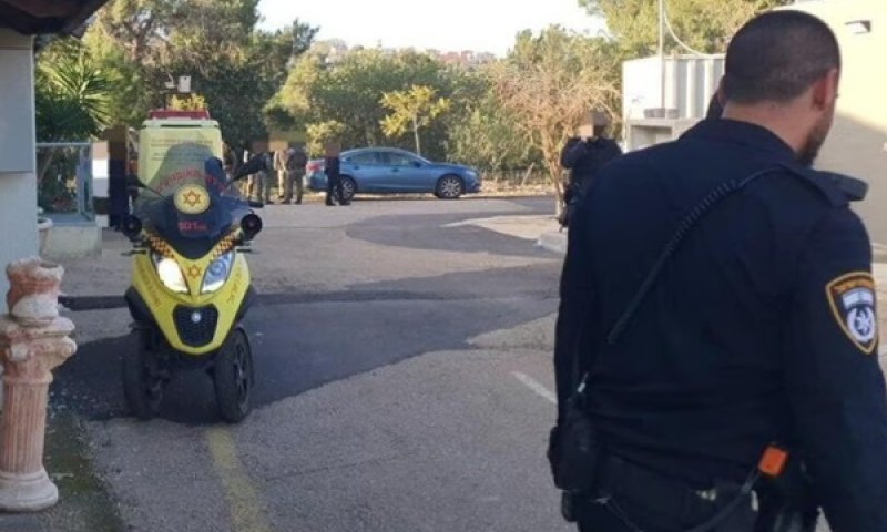 זירת הרצח בצפון, הבוקר [צילום: תיעוד מבצעי מד"א]
