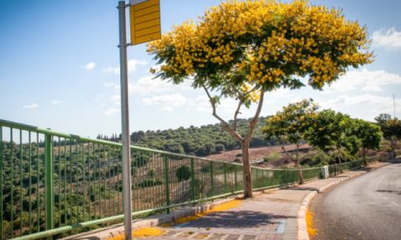 תמשיכו לחכות [צילום: ענת חרמוני/פלאש 90]