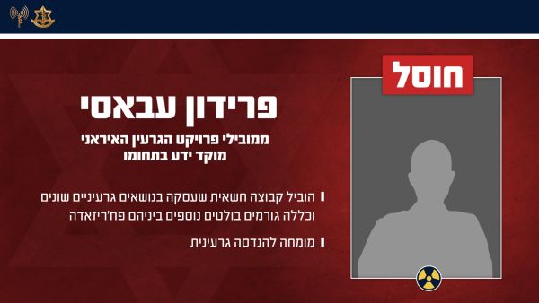 [צילום: דובר צה"ל]