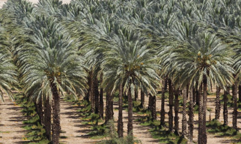 המראה הוא הקובע [צילום אילוסטרציה: נתי שוחט, פלאש 90]