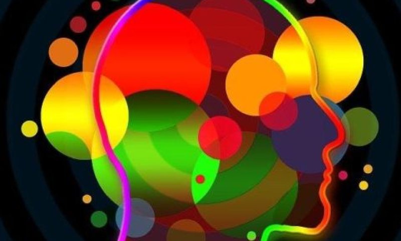 [צילום: FREEPIK]