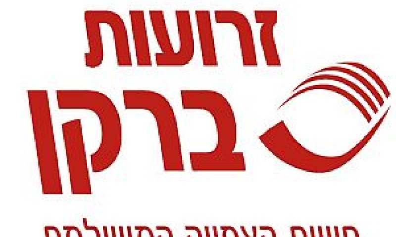זרועות ברקן